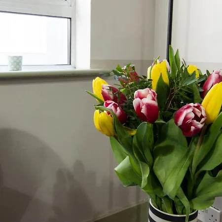 Refurnished Vintage Charming 2 Bedroom In Temple Bar * Dublin